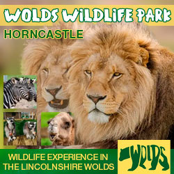 Wildlife Experience in the Lincolnshire Wolds